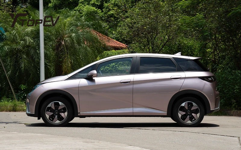 BYD Dolphin mini
